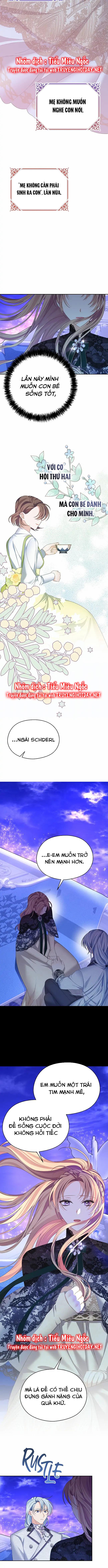 aster yêu dấu của tôi chapter 47 14