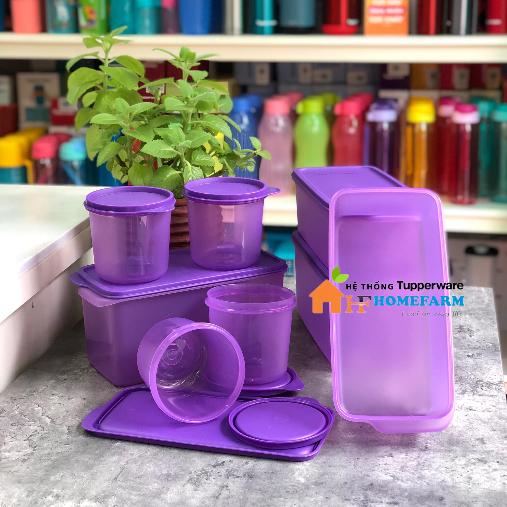 Bộ hộp BQTP Freshness Collection TUPPERWARE HÀNG CHÍNH HÃNG