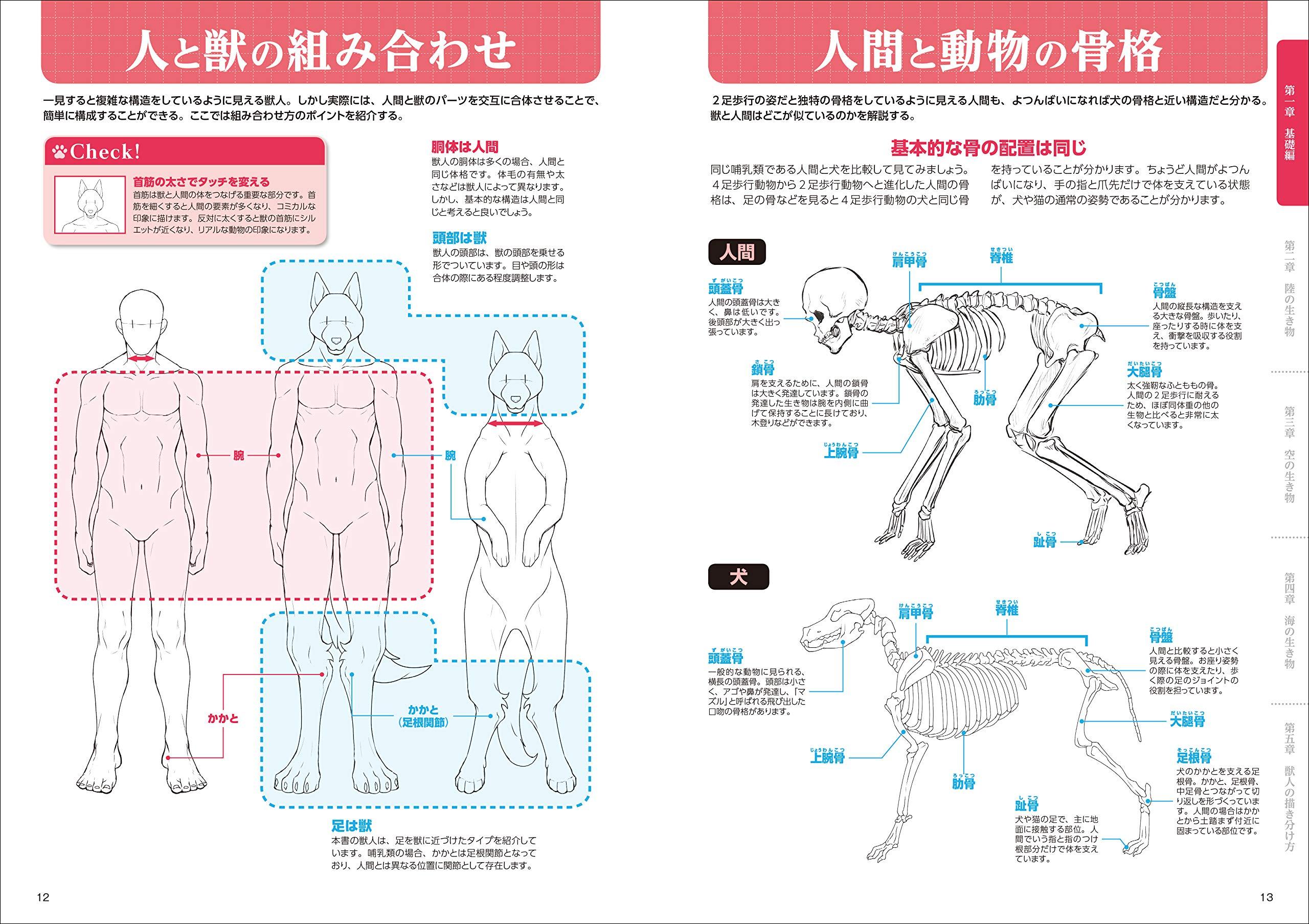獣人の描き方 SHISHIJIN NO EGAKI KATA RIARUKEMO KARA DEFORUMEKE