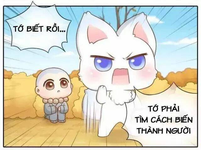 tiểu hồ ly vs tiểu hóa thượng chapter 66 17