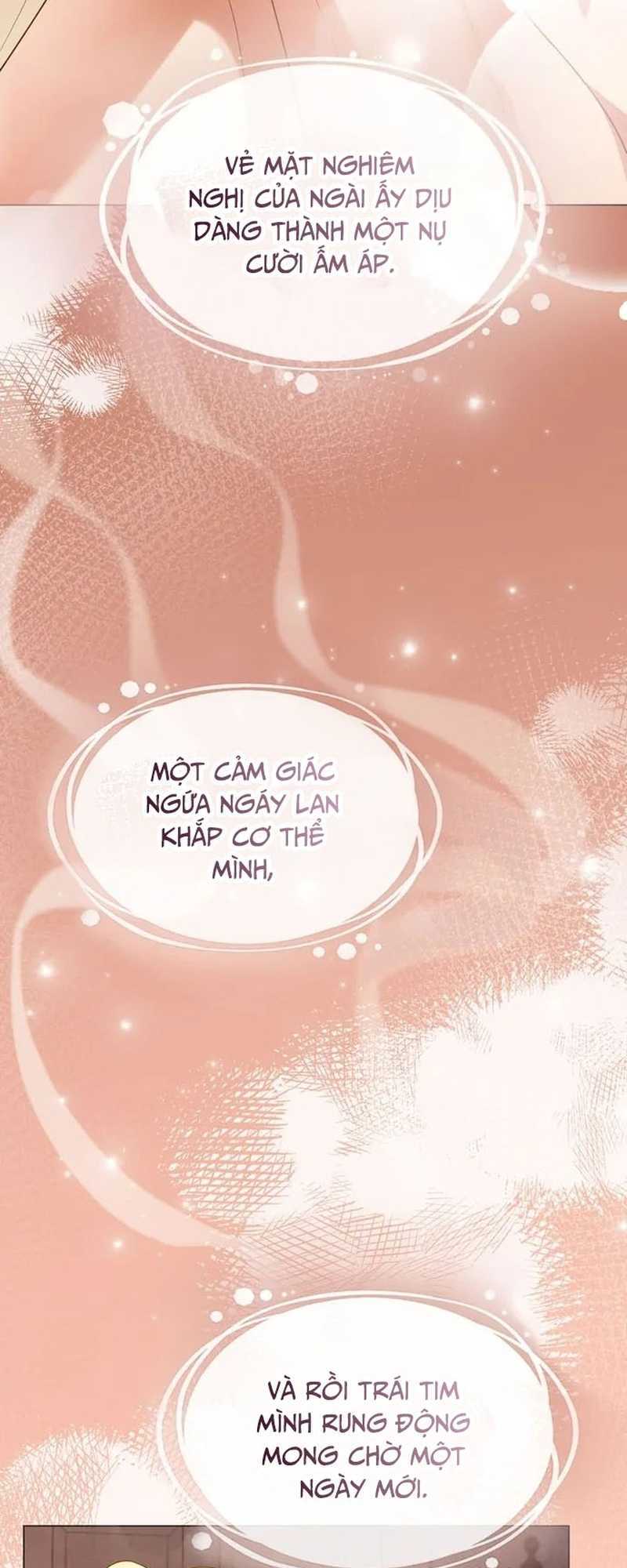 tìm lại camellia chapter 95 24