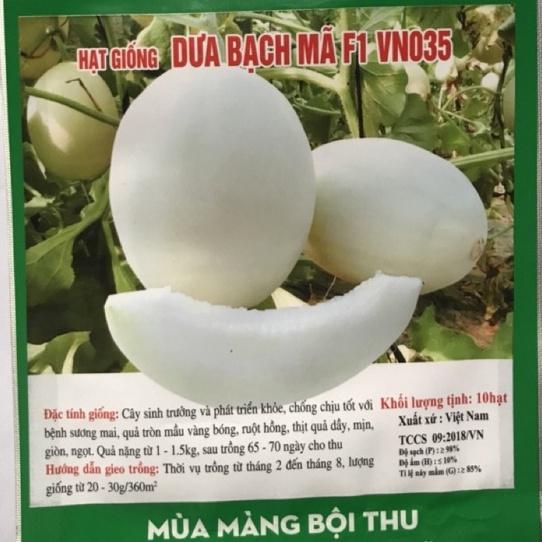 Hạt giống Dưa Bạch Mã F1 - Dưa Lê Siêu Ngọt 1-1,5kg/quả túi 2g