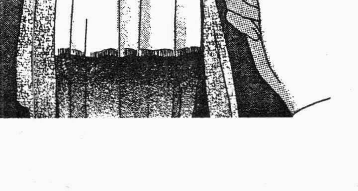 vị nữ thần cuối cùng - ultimate venus chapter 29 26