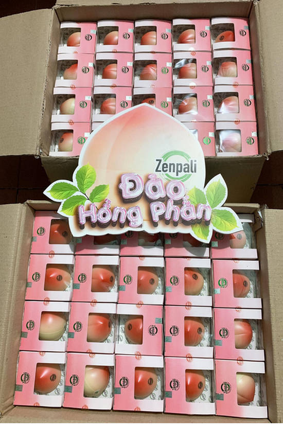 Đào Hồng Phấn Zenpali Dưỡng Da, Trắng Hồng - Beauty Whitening Peach Cream