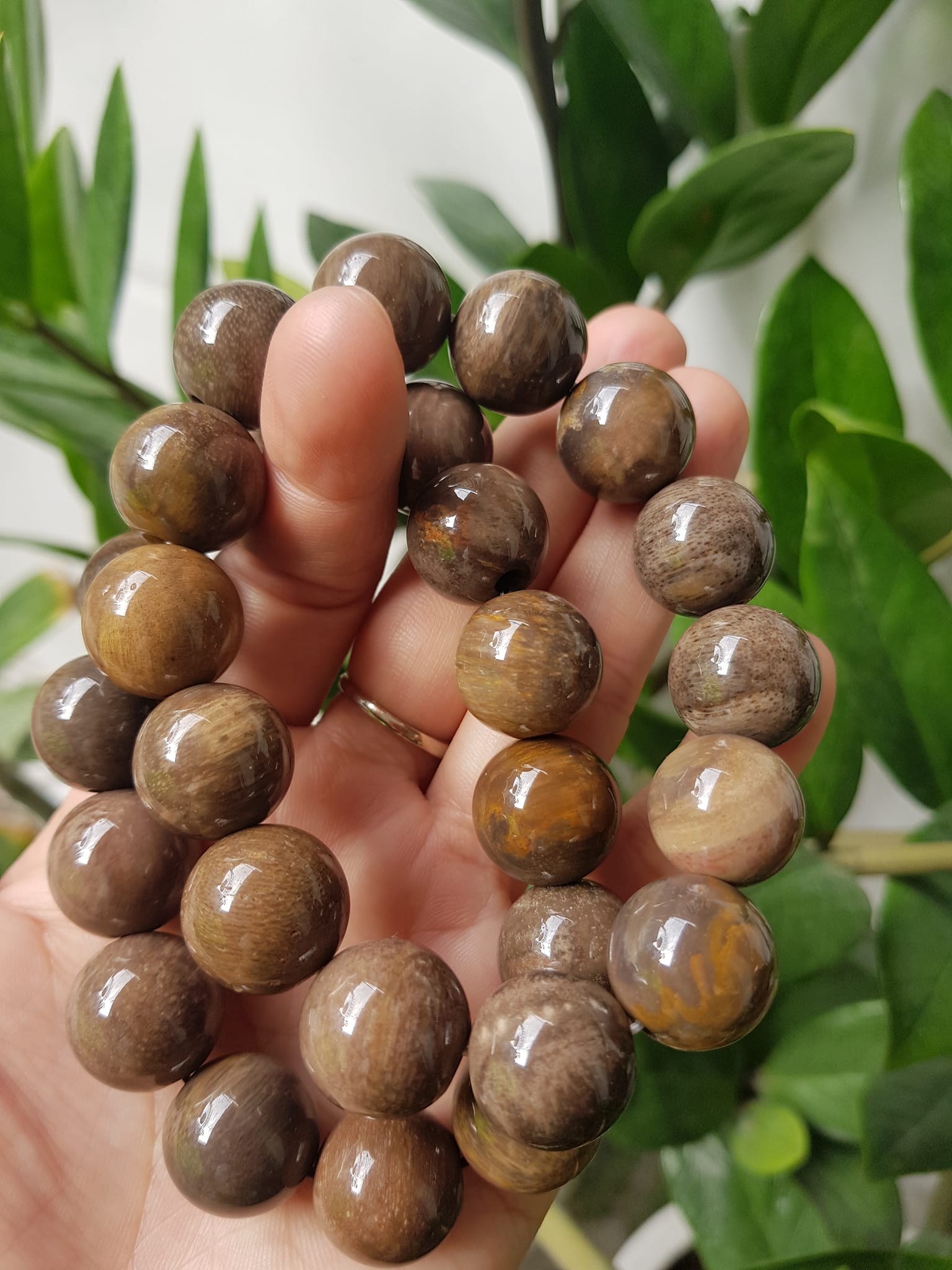 Vòng Gỗ Hóa Thạch Nam 16mm Màu Sáng Bóng Tự nhiên Gỗ Hóa Thạch Đẹp Nam đeo size vòng 16mm sang tay ạ