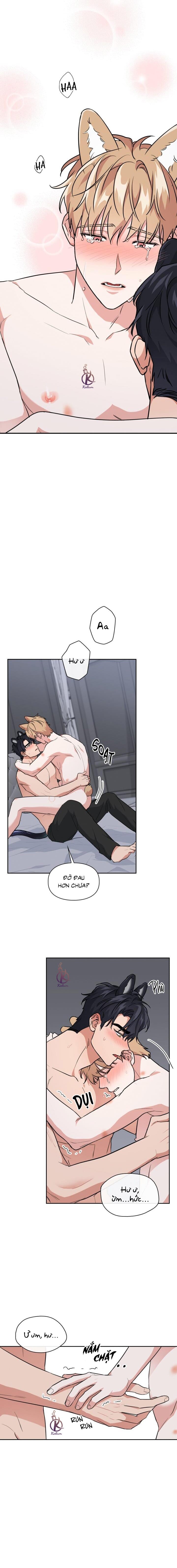 mồi nhử chapter 64 7