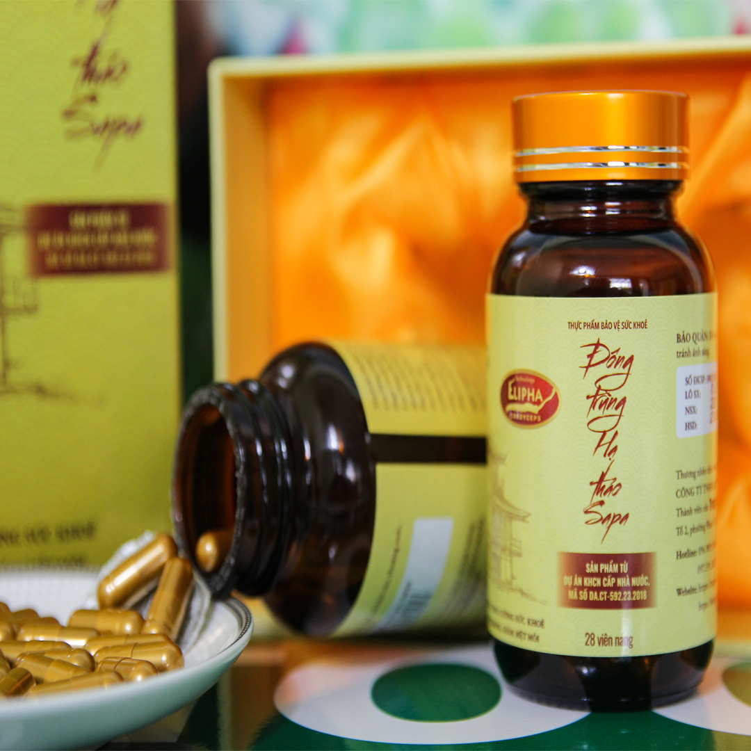 60 Viên nang Đông trùng hạ thảo Traphaco Sapa