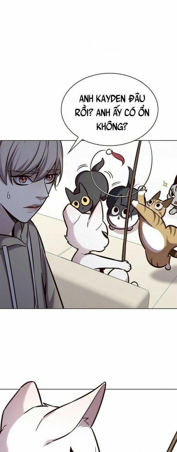 biến thân thành mèo chapter 182 15