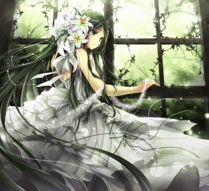 hình đẹp wallpaper chapter 1 1