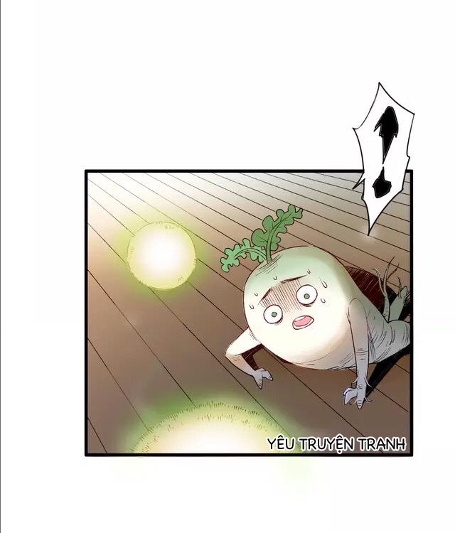 thực nhị chapter 12.2 13