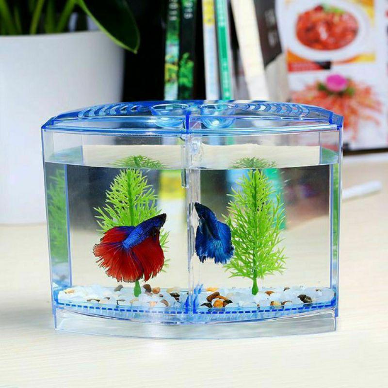 Bể nhựa nuôi cá betta 18x14x10cm