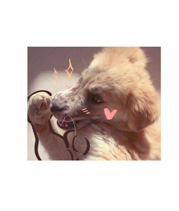 mãn đình phương - thiên hạ duy khanh chapter 4 58