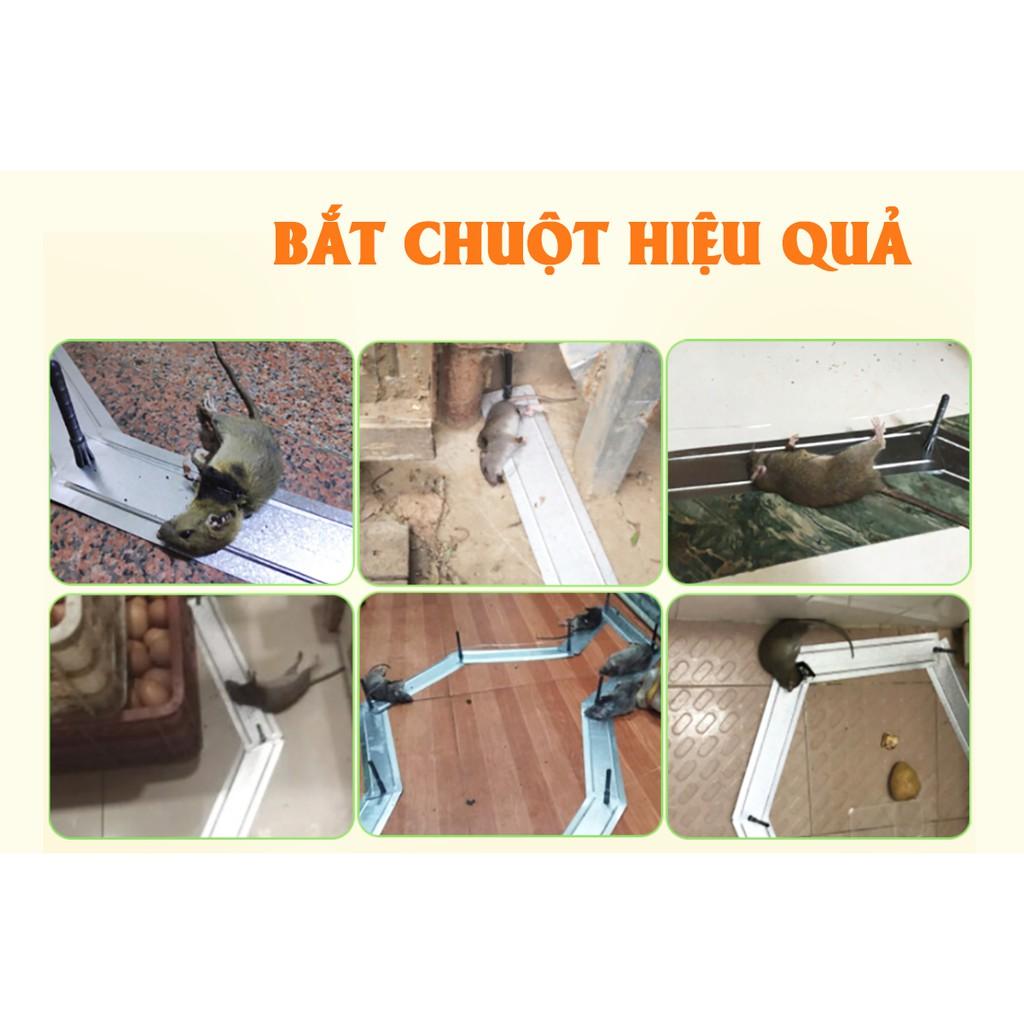 Máy bắt chuột || Máy bẫy chuột bằng điện 3A