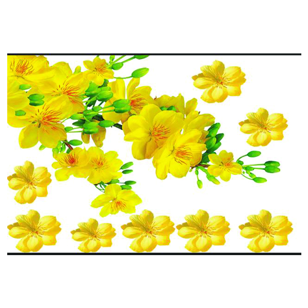 Decal Dán Tường Cành Mai Vàng 1 PK511