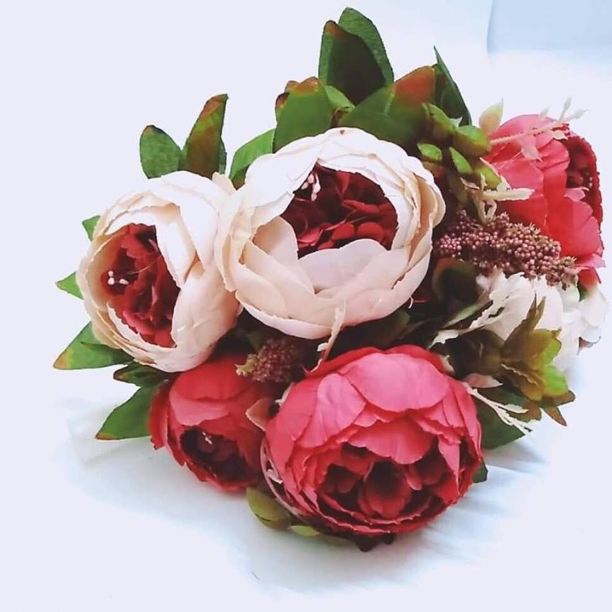 Hoa cẩm chướng cao cấp Peony