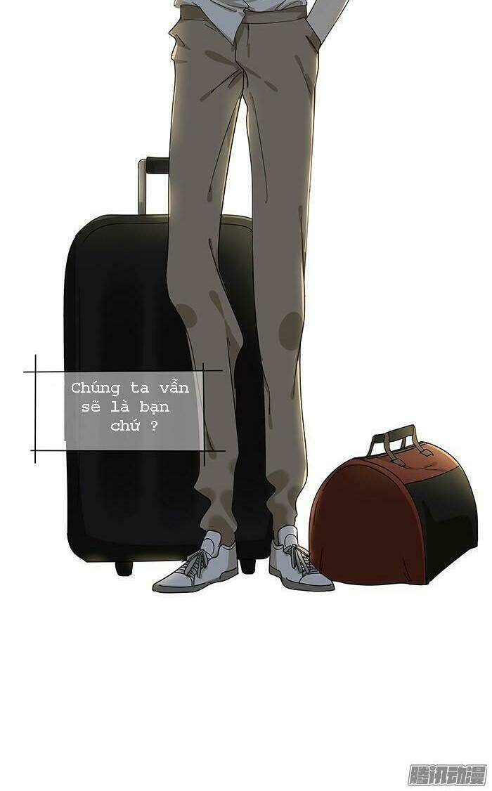 tương thân chung kết giả chapter 3 12