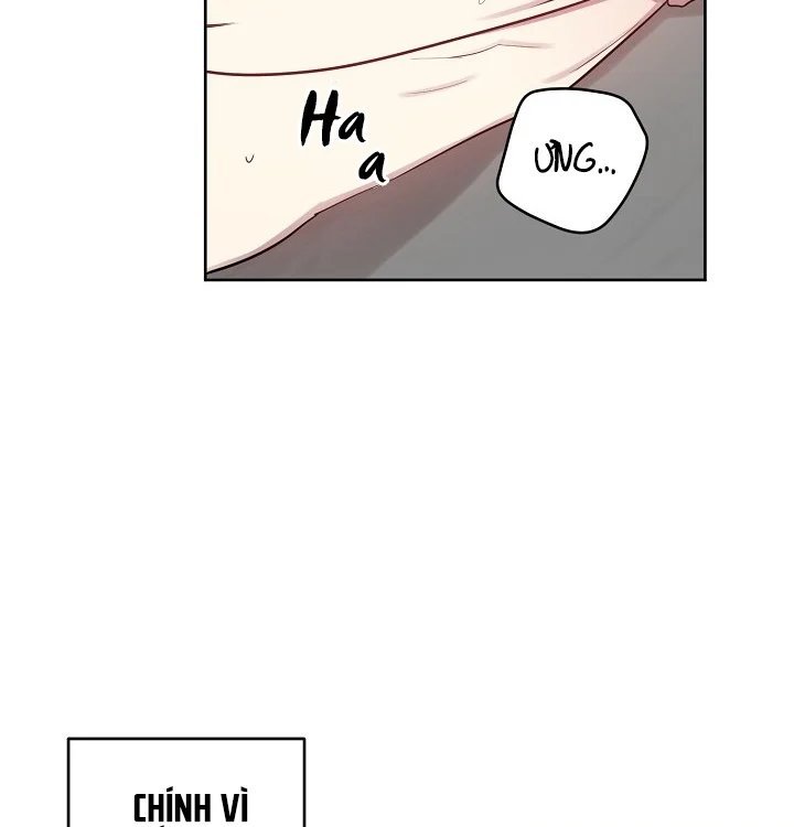 thần tượng đến rồi!? chapter 23 74