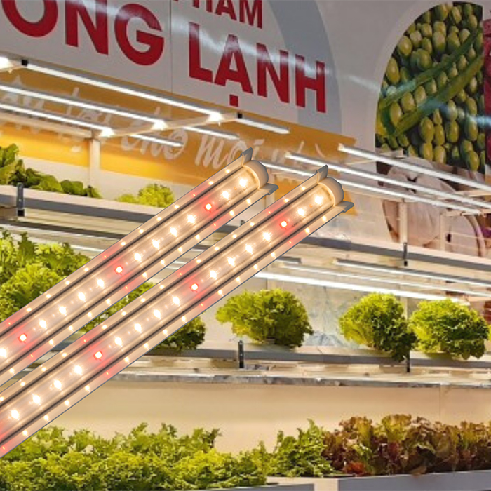 Đèn LED chuyên dụng cho nuôi cấy mô Rạng Đông Model: LED NCM 120/16W WR