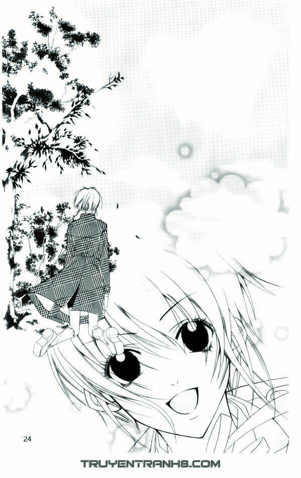 ngọc trong đá-ace chapter 1 25