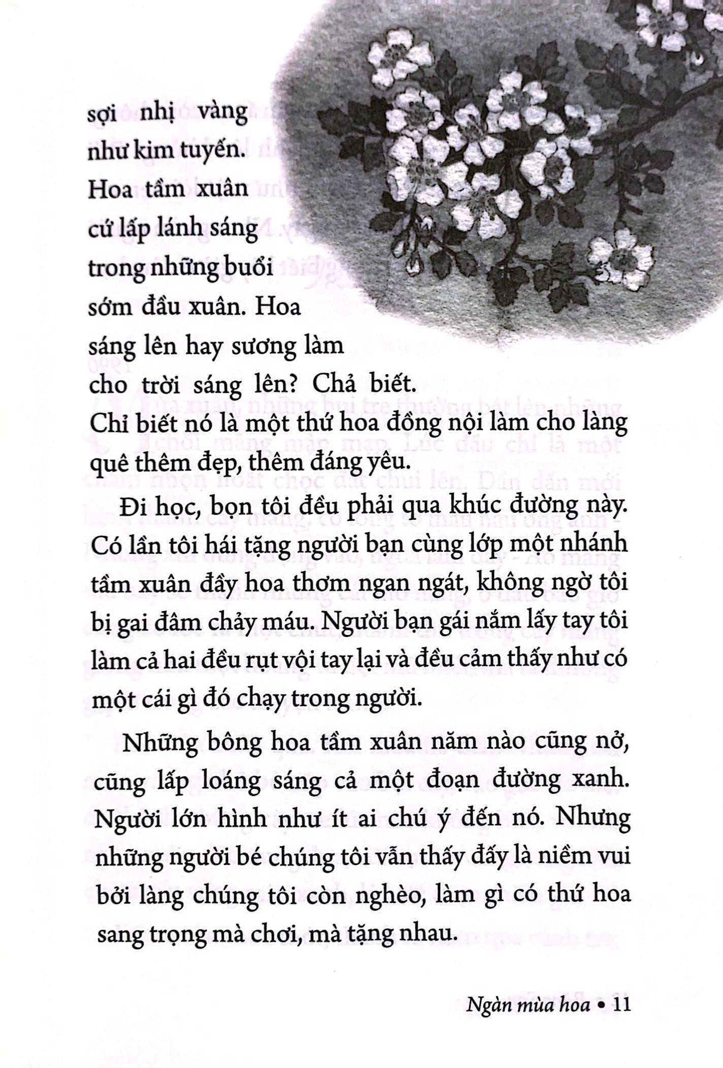 Sách - Ngàn Mùa Hoa - Nét Đẹp Thiên Nhiên