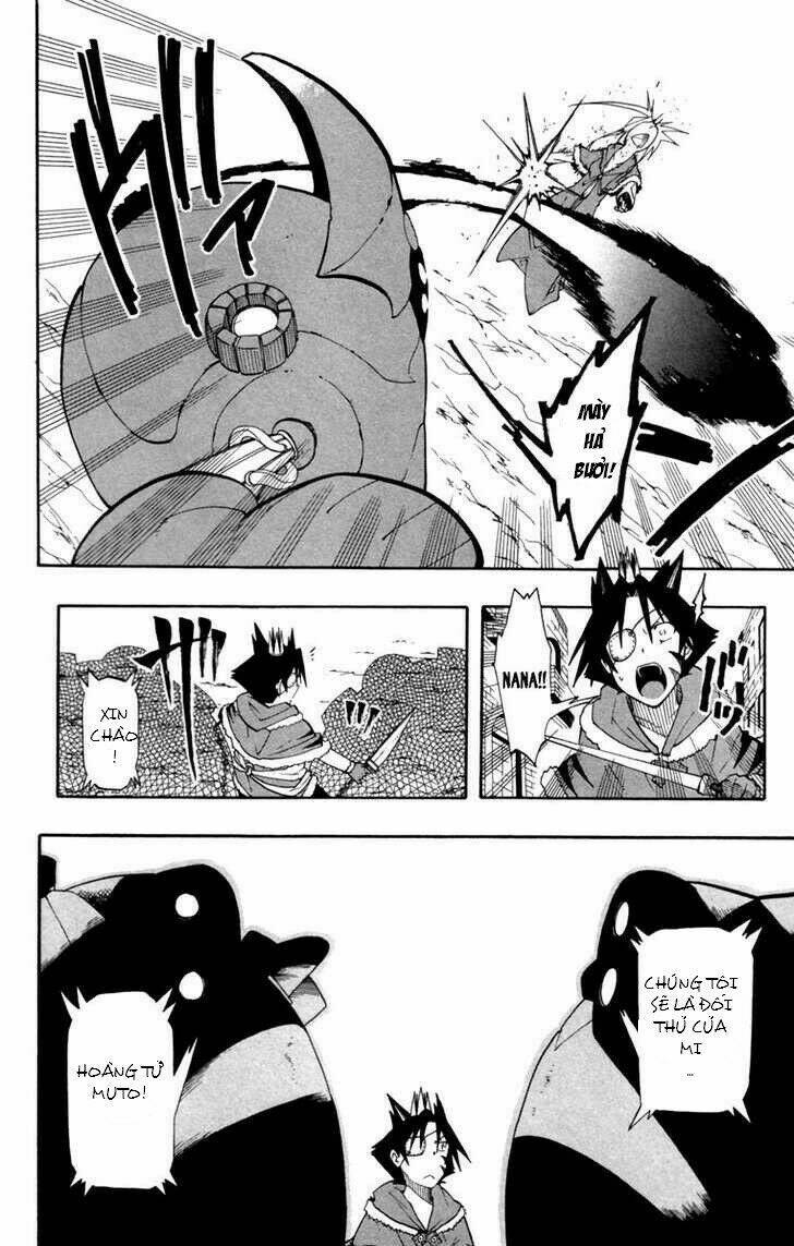 tripeace chapter 11 13