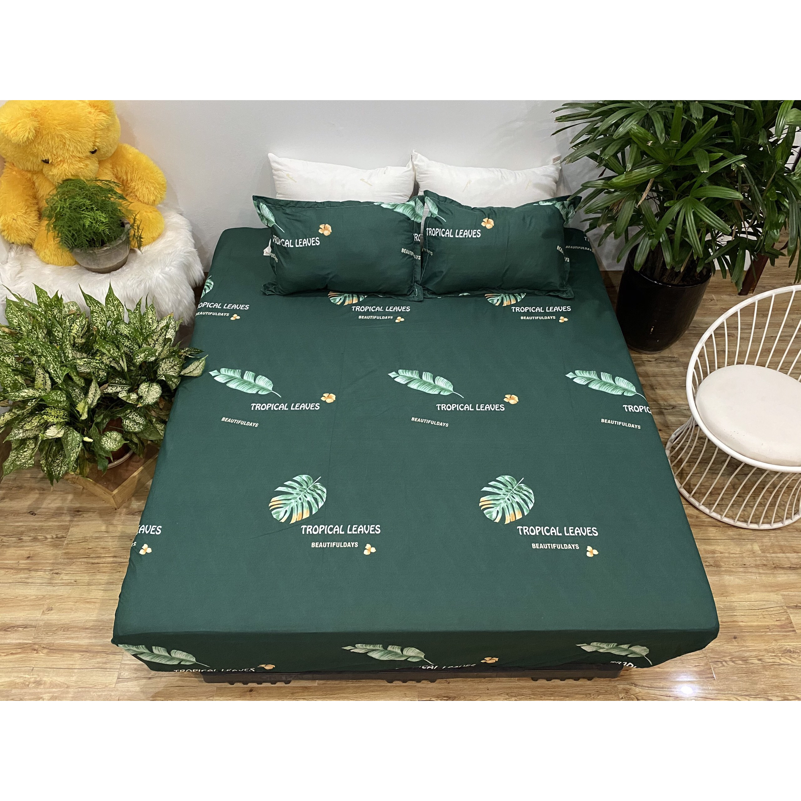Bộ Ga Gối 3 Món Mẫu CH219