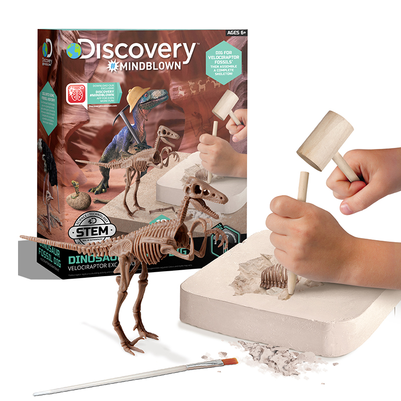 Bộ Đồ Chơi DISCOVERY  Khảo Cổ Truy Tìm Xương Khủng Long - Velociraptor 1423004881