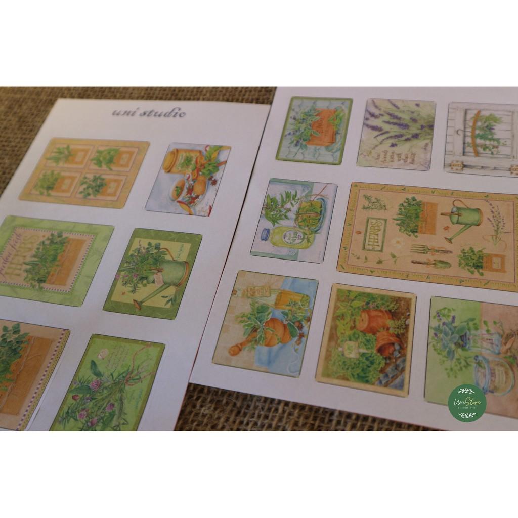 Sticker phong cách cổ điển - sticker vintage green garden - uni004