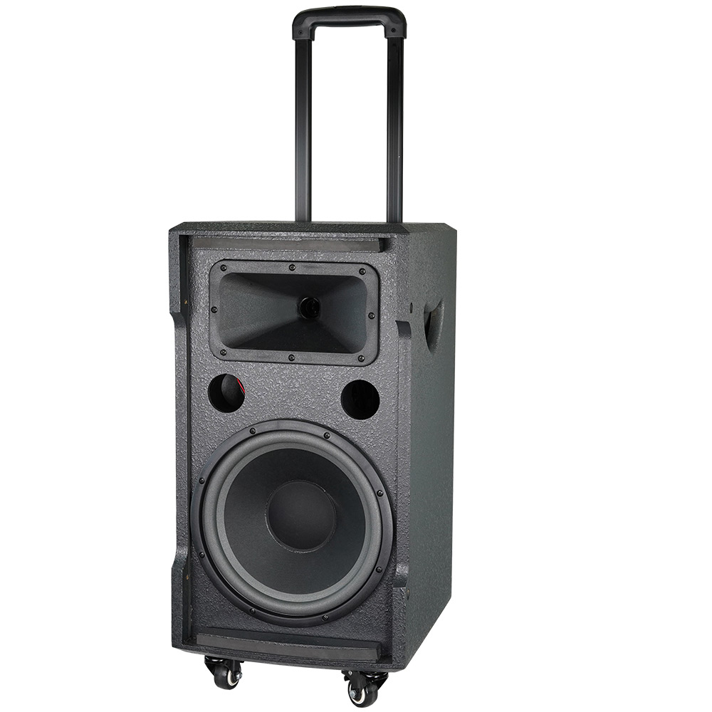 Loa karaoke Dalton TS-10G250N công suất 300W, Bass loa 2.5 tấc - HÀNG CHÍNH HÃNG ( BẢO HÀNH 12 THÁNG