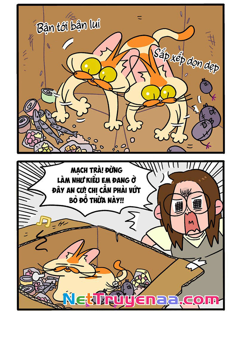 a mãn và mạch trà chapter 30 4