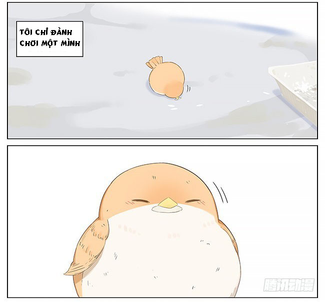 sẻ chiếu mới và nhạn phong sương chapter 10 9