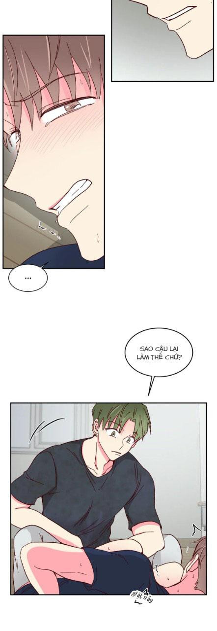 món tráng miệng của sếp tổng chapter 53 7