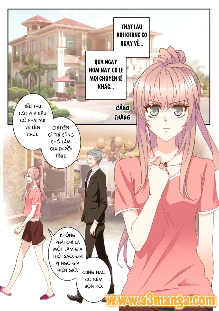 Bá Đạo Tổng Tài Yêu Ta chapter 3 - Trang 2