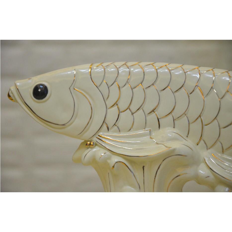 Cá rồng trang trí size lớn