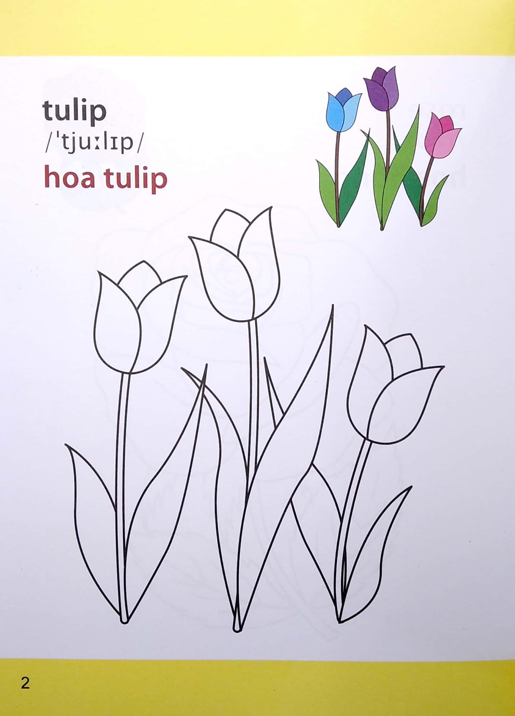 Giờ Học Tô Màu Của Bé - Các Loài Hoa (Siêu Vui Nhộn - Siêu Bổ Ích)