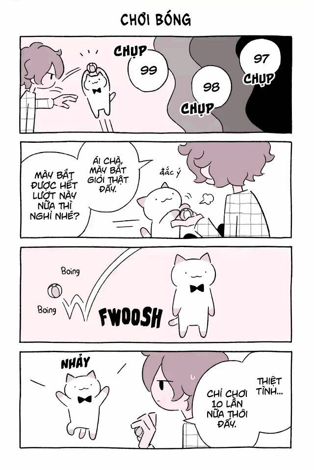 chú mèo kỳ diệu kyuu-chan chapter 562 2