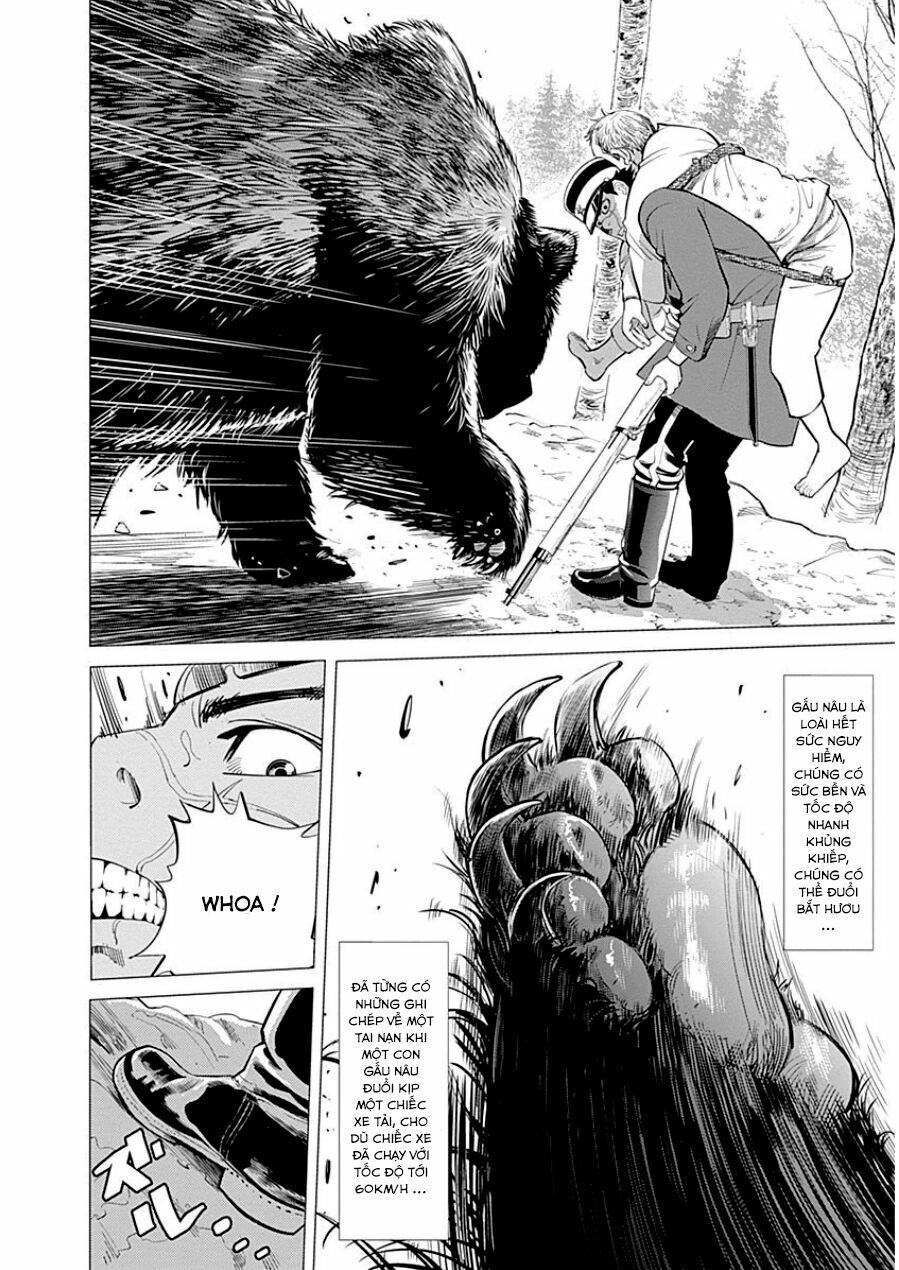 cơn sốt vàng sau chiến tranh chapter 1.1 10