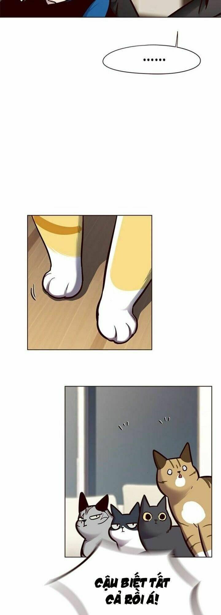 biến thân thành mèo chapter 123 55