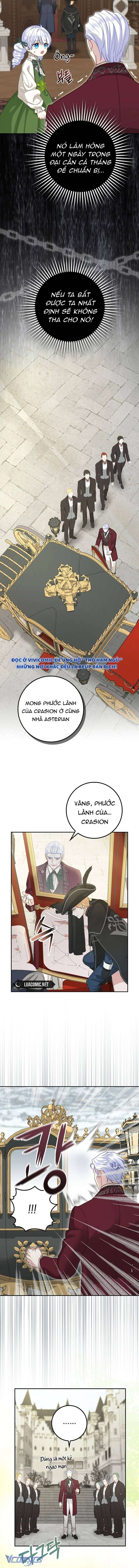 bé con báo tuyết của gia tộc báo đen chapter 4 5