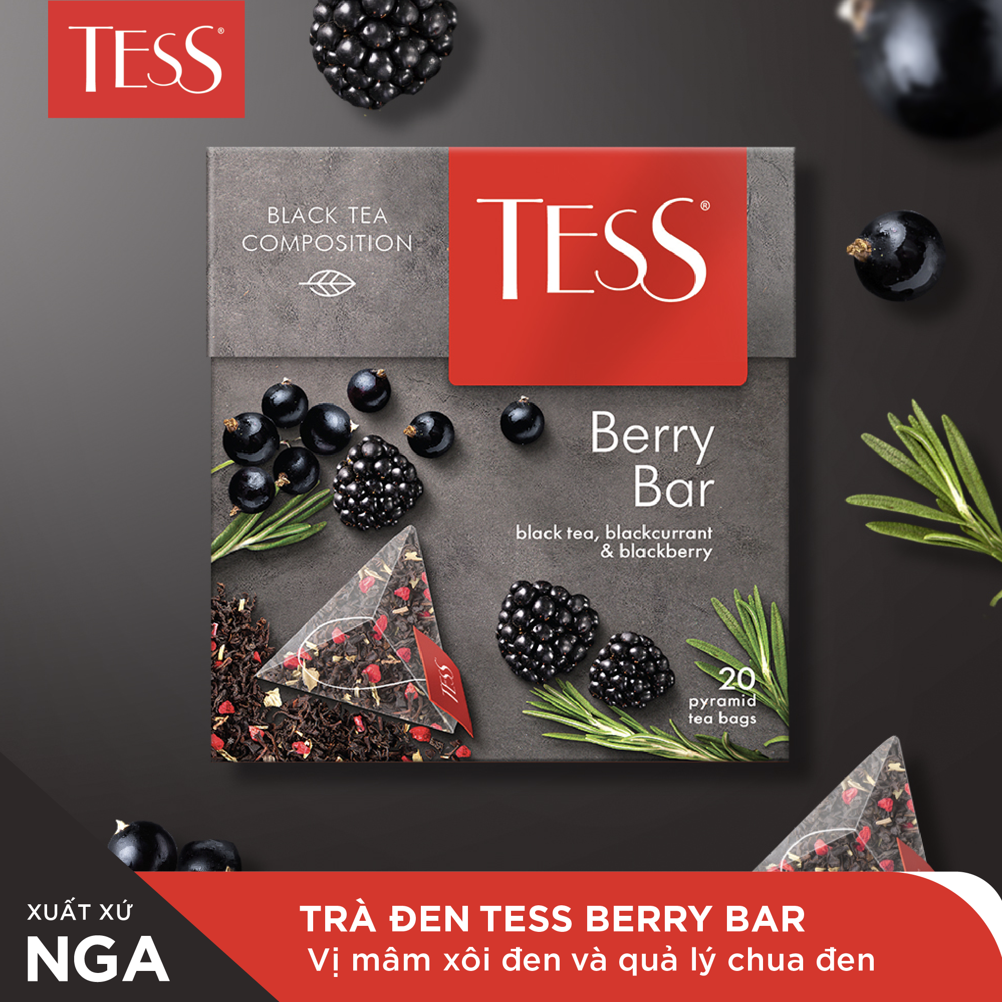 Combo 12 hộp Trà đen Tess Berry Bar vị mâm xôi đen và quả lý chua 20 gói/hộp