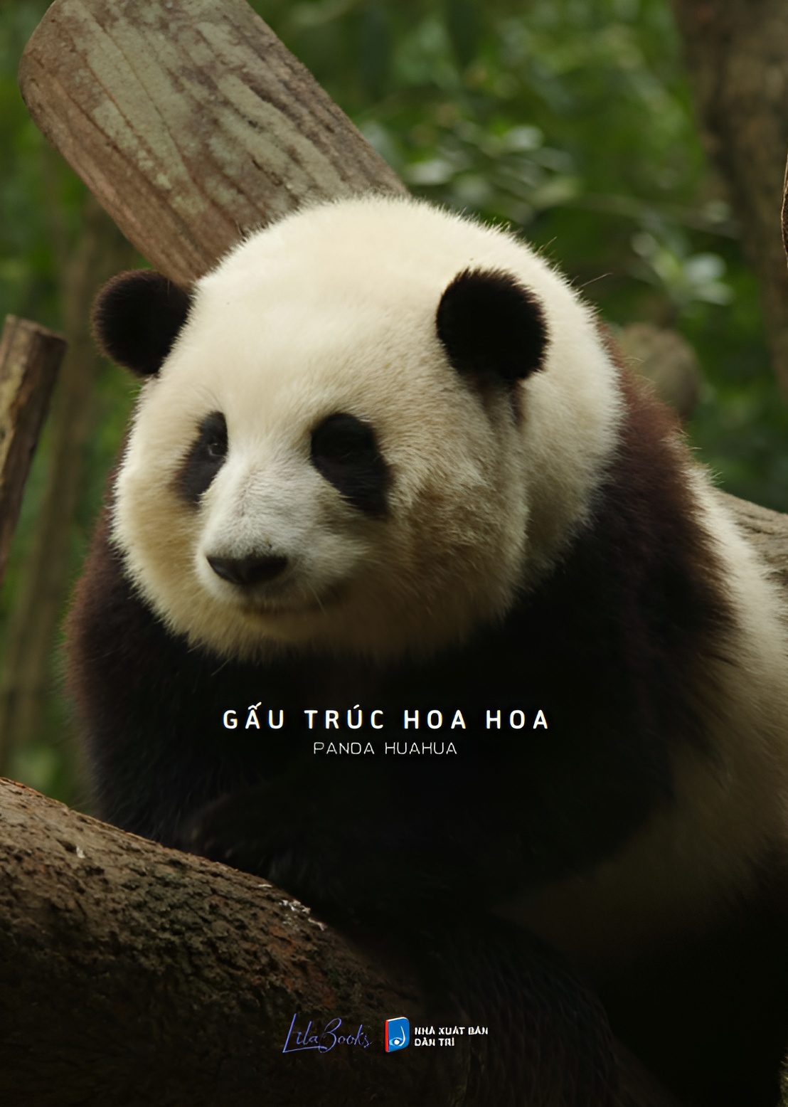 [Sách Ảnh] Gấu Trúc Hoa Hoa - Panda HuaHua - Amakbooks