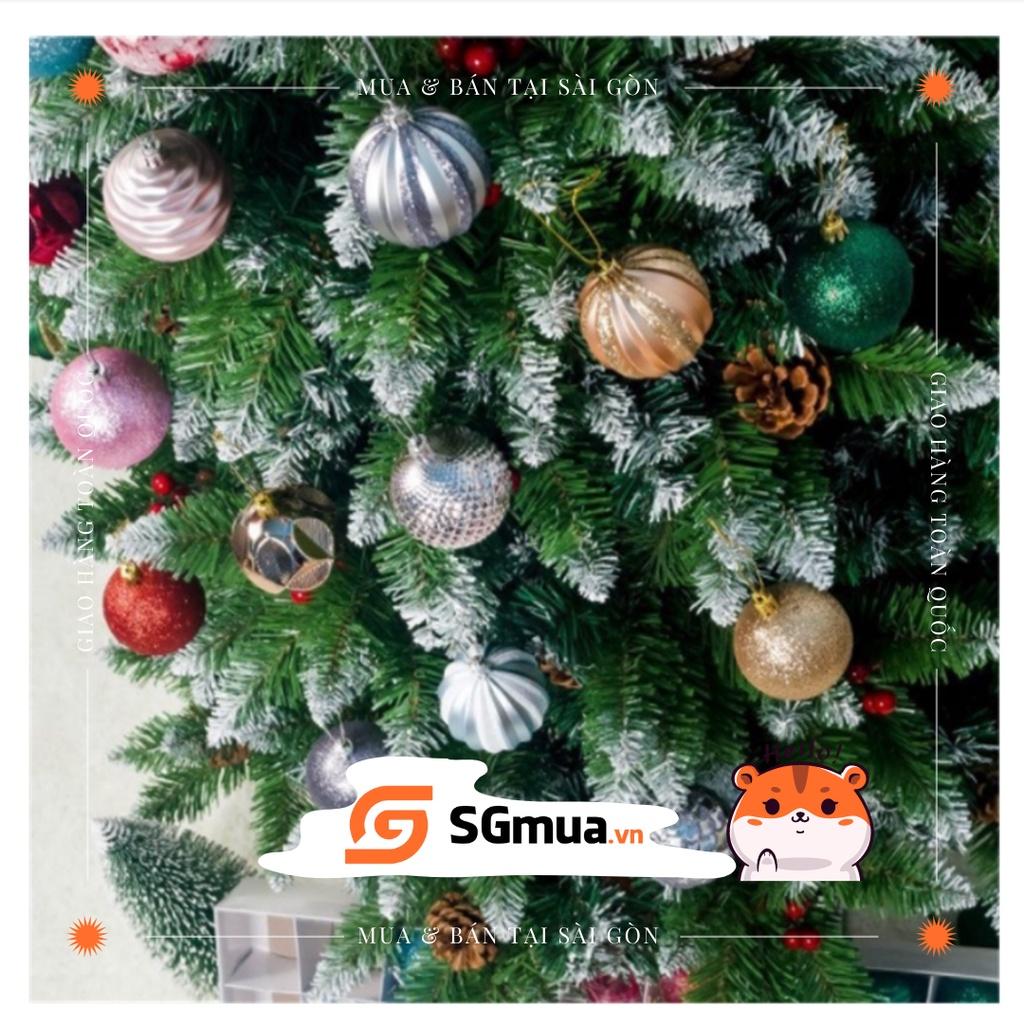 Hộp trái châu cao cấp trang trí cây thông Noel_Giáng sinh