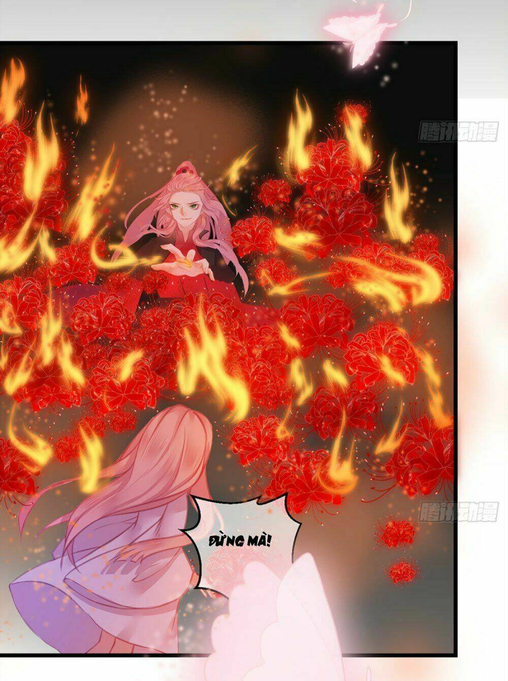 trẫm quyết định giải tán hậu cung chapter 6 11