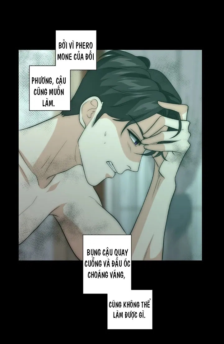 bí mật của omega k chapter 11 26