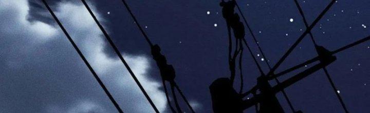 trở thành vương giả sau khi bị cắn chapter 39 98