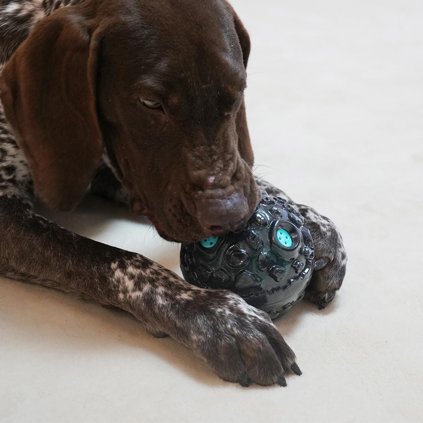 Bóng Đồ Chơi Nhai Gặm Làm Sạch Răng Cho Chó Squeaky Dog Toy Ball