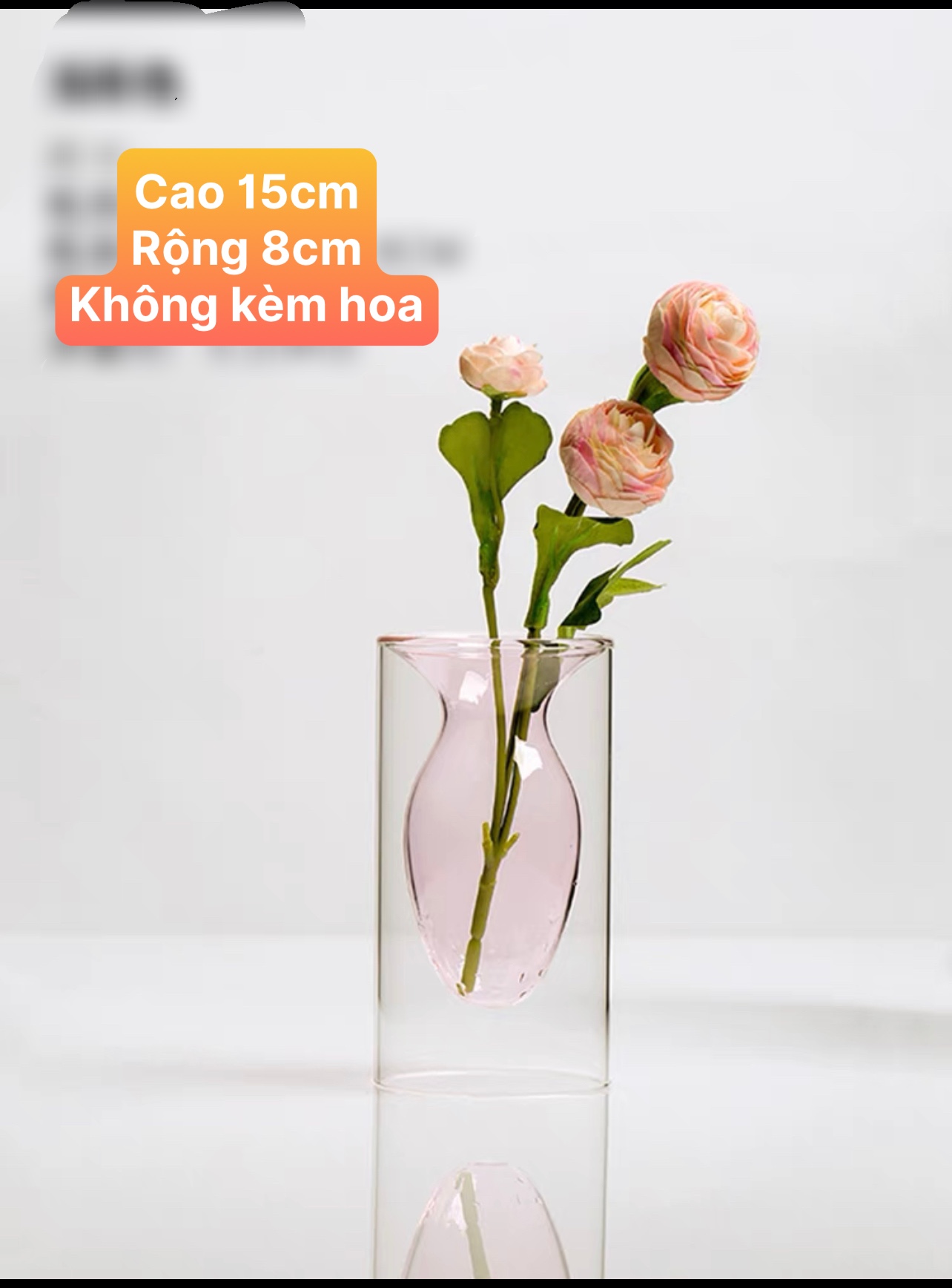 Bình thuỷ tinh cắm hoa sang trọng