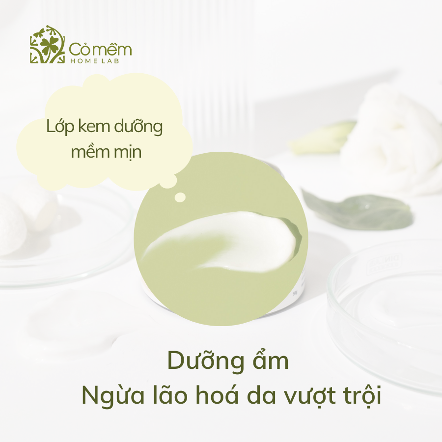 Kem Dưỡng Ẩm Dưỡng Ẩm Chuyên Sâu Với Coenzym Q10 Ngừa Lão Hoá Da Tơ Tằm Cỏ Mềm 50g