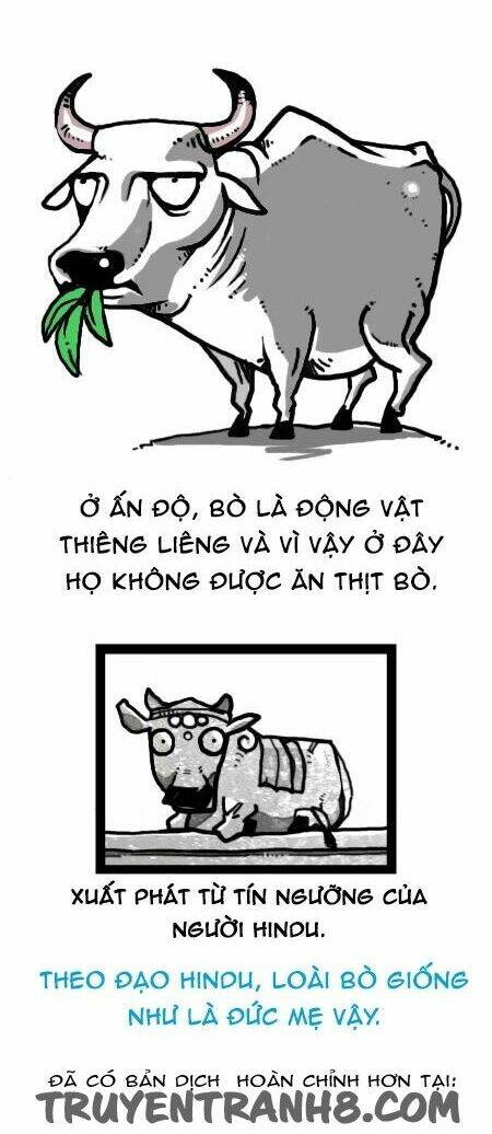 earth, human, and animal chapter 24 14