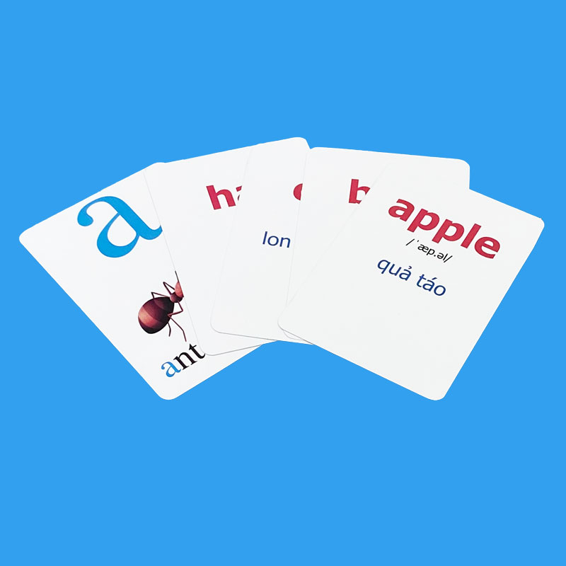 Flashcard tiếng Anh Lớp 1 BGD, có phát âm, hình ảnh và màu sắc sinh động